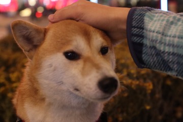647230