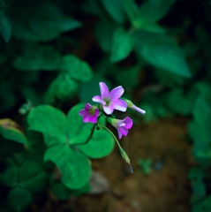 D94C0793-A6A0-4B00-8C44-28B3A47A9E1F/L0/001