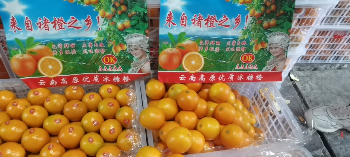 优质果品应具备哪些条件