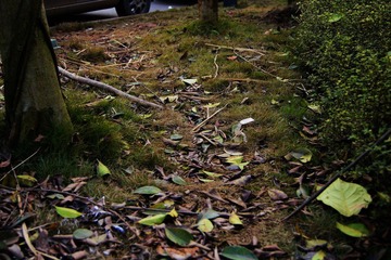 DSC02113_光影_2