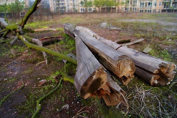 DSC02136_光影_1