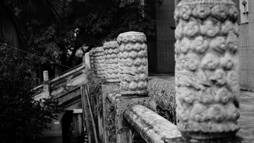 _DSC1810