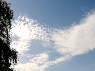 54913