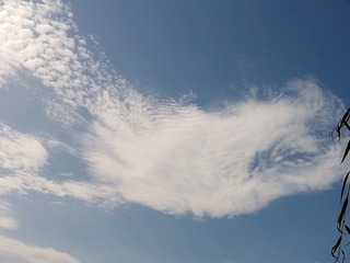 54914