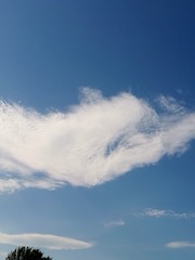 54909