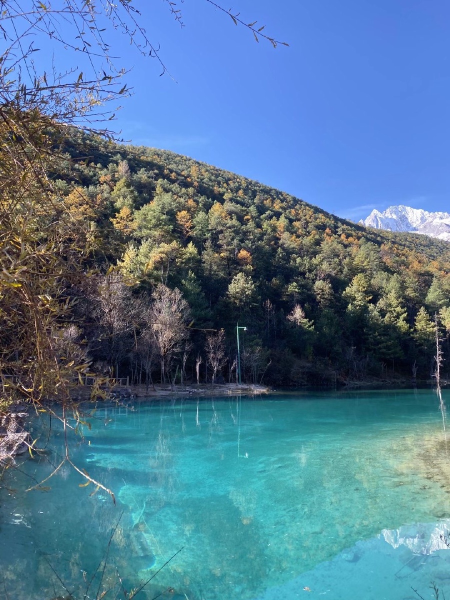 君临天下627 - 图虫