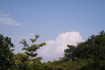 281B2056-0A8C-4F0D-9107-302FEC457A17/L0/001