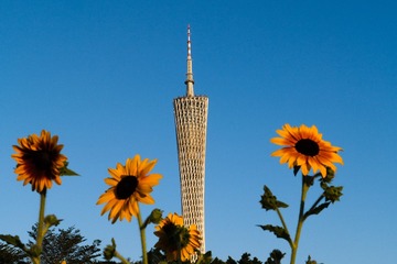 D470BB67-9468-484E-A455-106F78E63973/L0/001