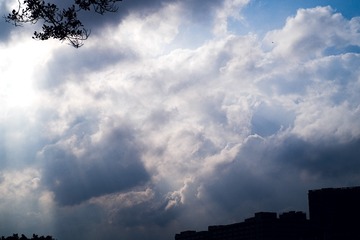 4F12431D-0C73-46EC-84E1-4CCC26C2B26B/L0/001