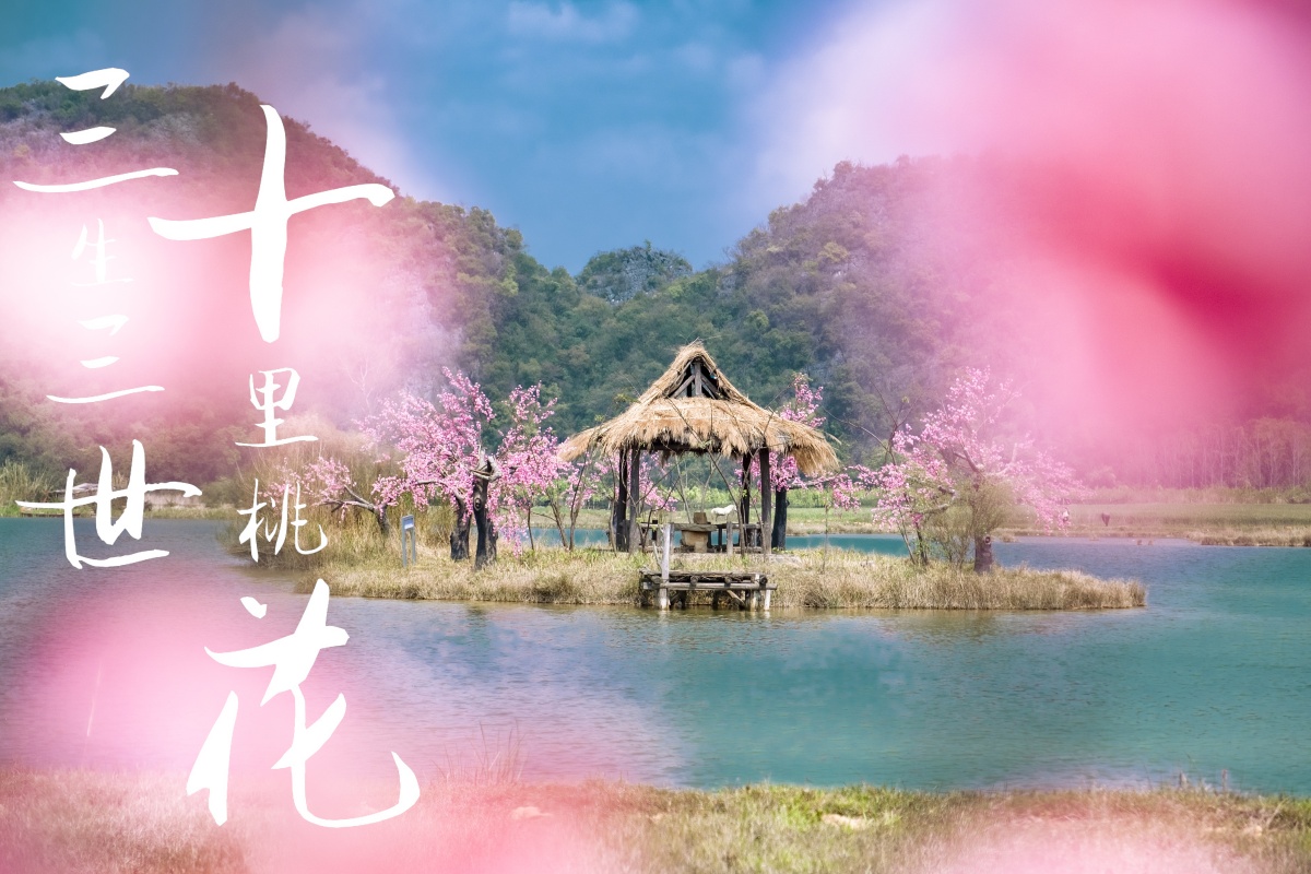 三生三世十里桃花