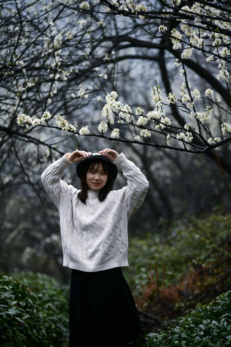 三泉王村李花人像出境知更