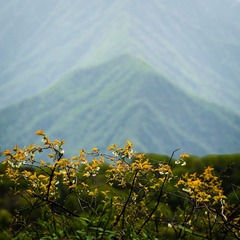 7D1A255E-50DA-4644-BDEF-90BEC6FD3F65/L0/001