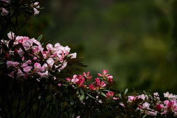 1DCDA3FE-ED6C-4743-BB43-9BD6C0C5D69A/L0/001