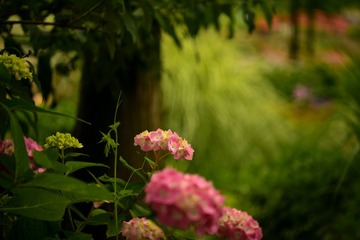 A8B096EE-3F6D-45F7-AA1C-3363490D873A/L0/001