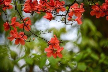 CE747894-BF93-44D6-90F6-4DD967CFE7C5/L0/001