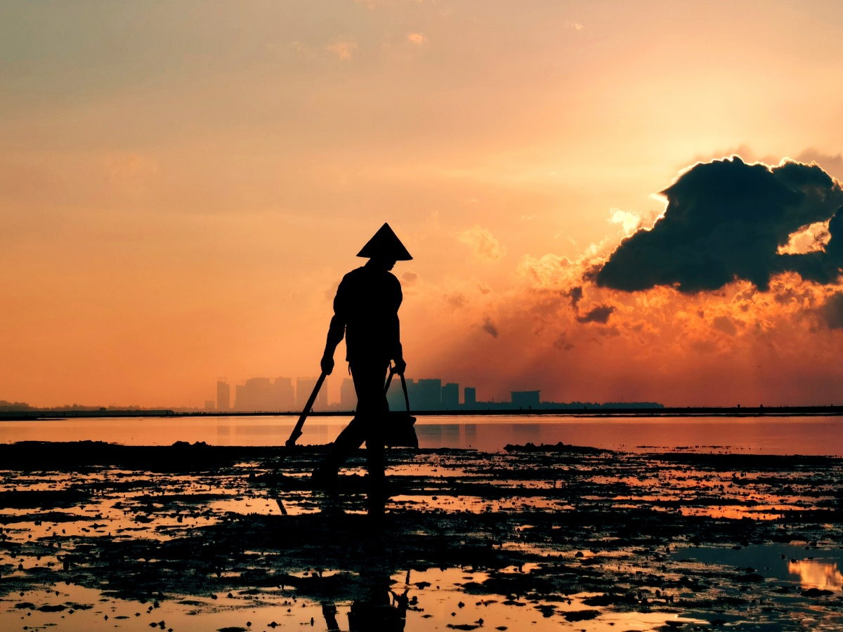 晨曦海滩上的赶海人