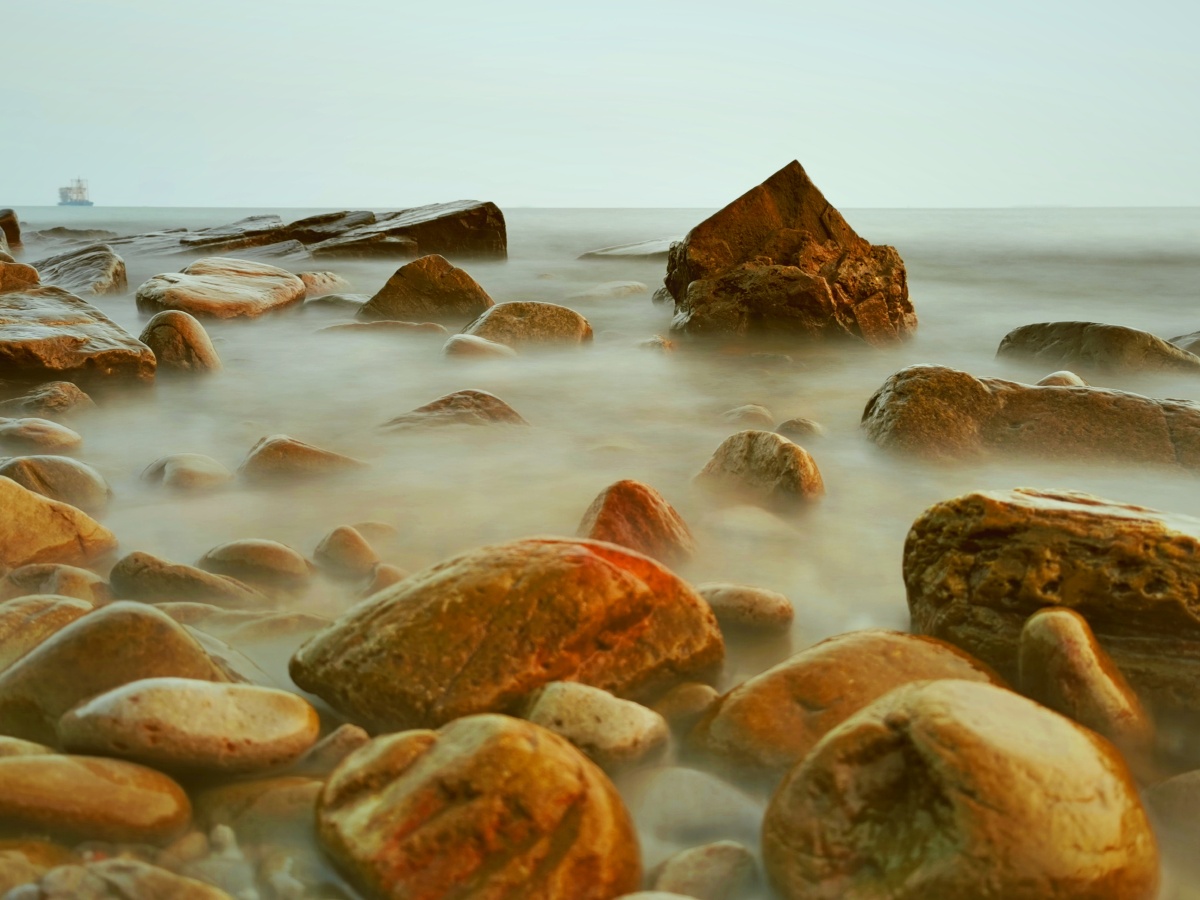 海礁石 - 真真大地