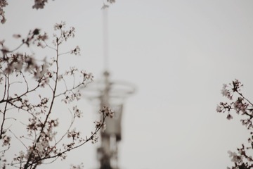 EF4A1C38-D085-4B70-9F40-E44E5D8A6814/L0/001