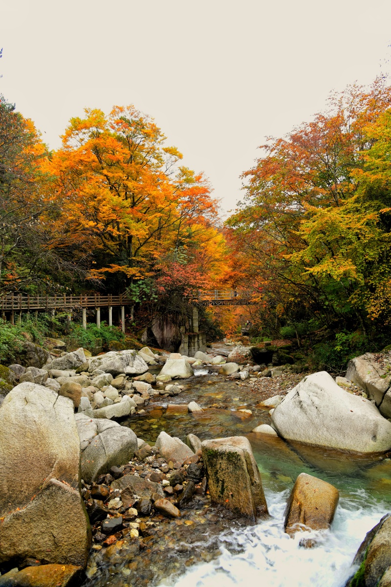 光雾山大坝黑熊沟3