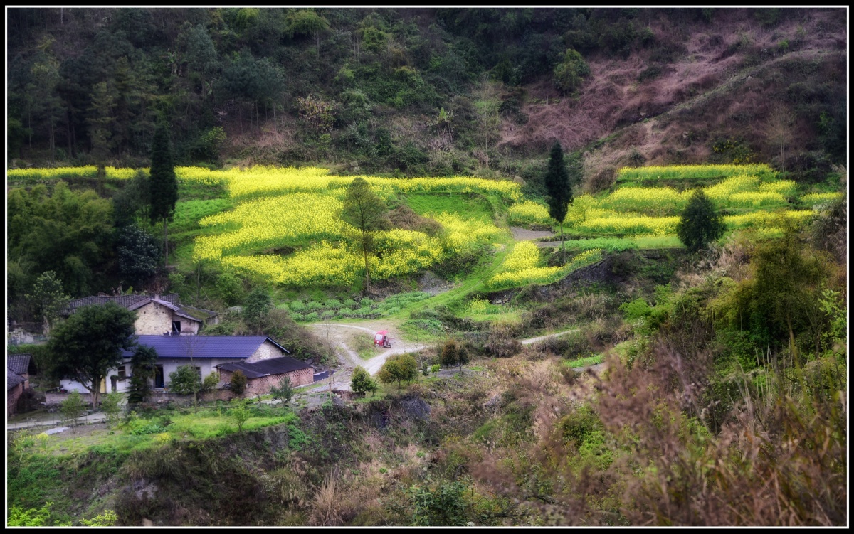 1/1小清新与治愈系#乡间田园风光美景色彩纪实风光#小山村#田野还没有