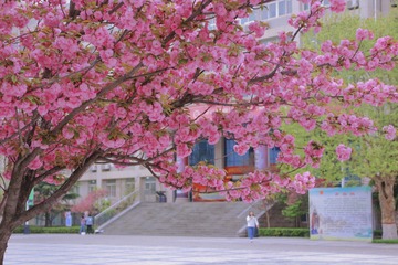 10FB0894-CEF2-4D5D-B136-C27EDCBE308A/L0/001