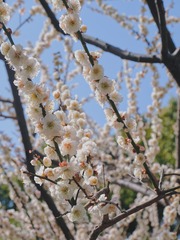 751AF88F-923B-4D50-B45C-CE1918BB7E1A/L0/001