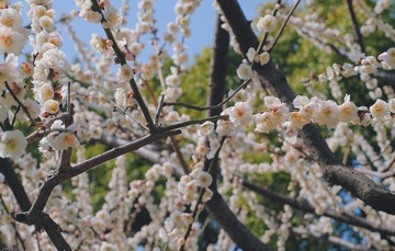 B27DB943-3F72-41E8-9C2F-5AE8E25D1871/L0/001