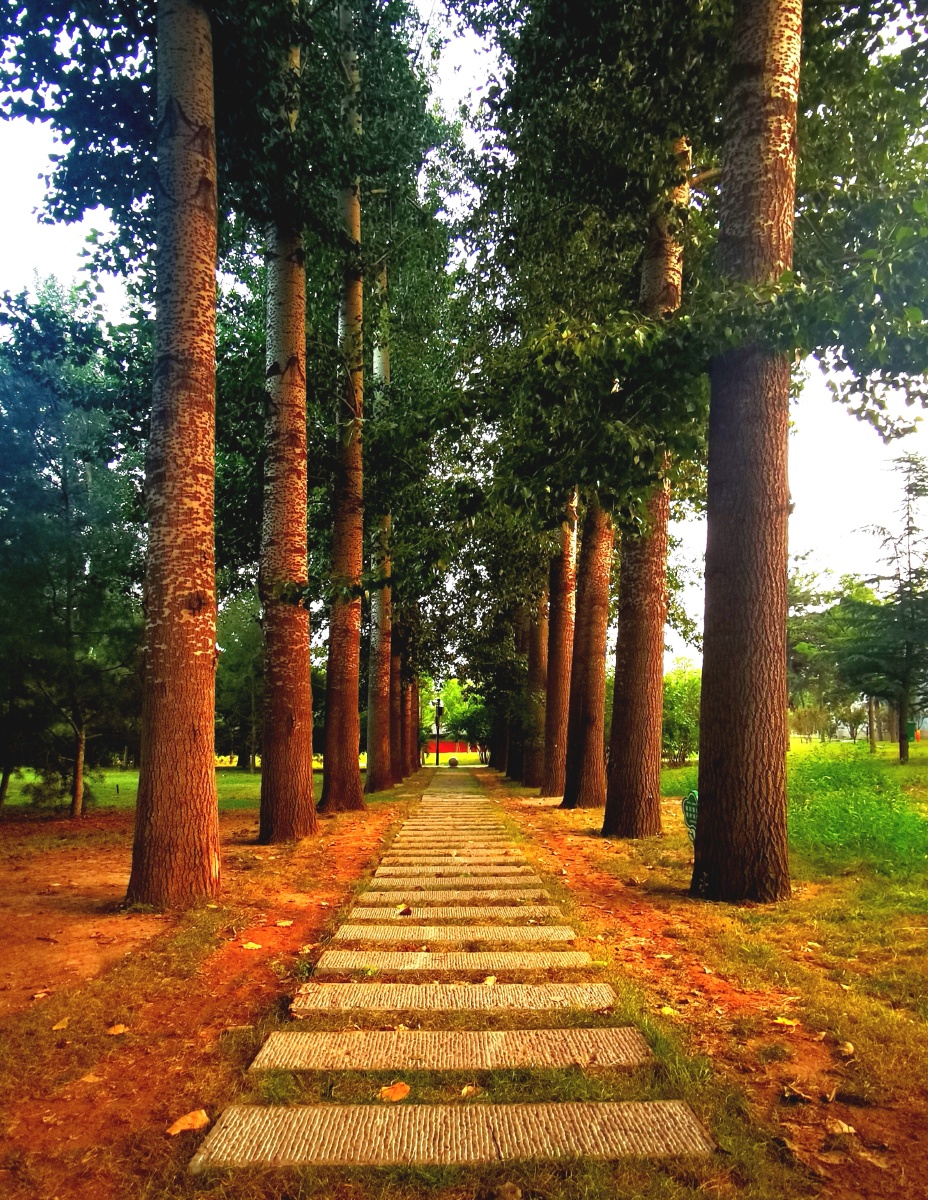 晋祠公园林间小道!