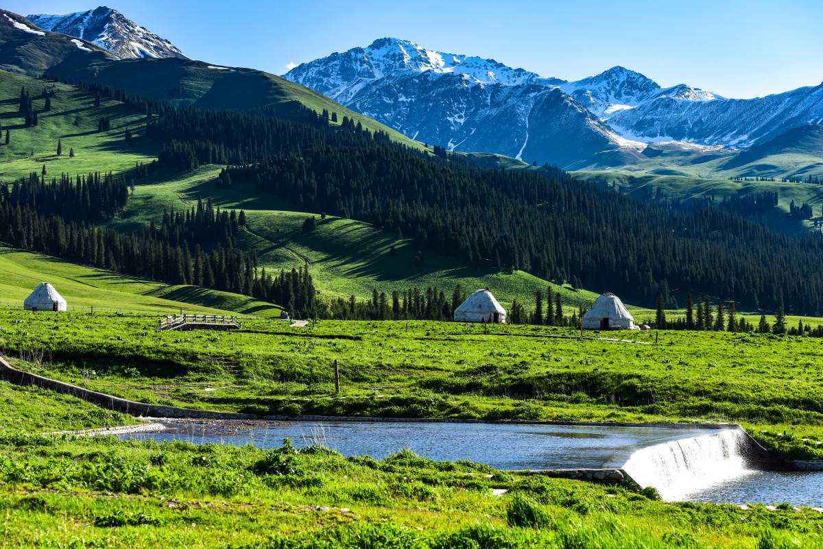 是世界四大草原之一的亚高山草甸植物区,自古以来就是著名的牧场,优美