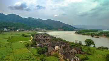 DPP_0100