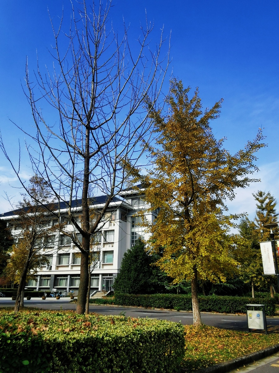 校园一角随拍大赏坐标南京晓庄学院