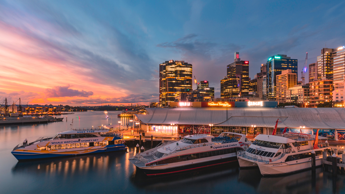 悉尼达令港夜景
