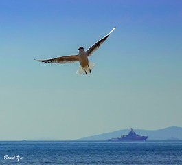20170302-_DSC0617