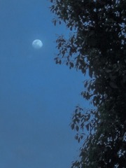 45B086D2-C575-442C-ADAB-B78D6CB7F8B2/L0/001