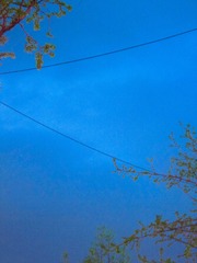 1B551580-C97E-43BB-8573-22C1522AC43D/L0/001