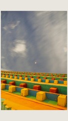 2617196