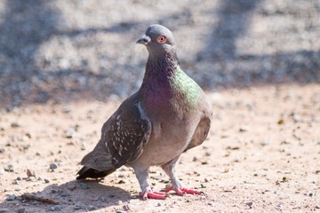 74375