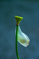 2109603