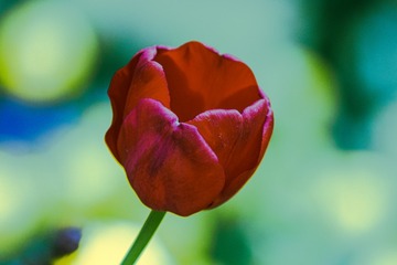 554271