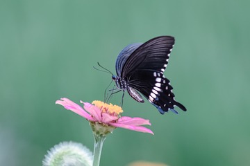 2896701