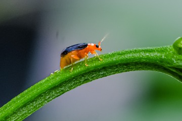 2869156