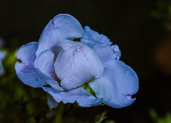 1996
