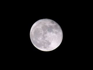 597D99D8-D903-439D-967A-8F25ED3CA320/L0/001