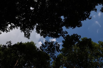 7EF428AB-A662-4F10-AA2E-7D7582F57E16/L0/001