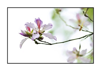 37FBE3EC-B073-4541-9684-D862799A6847/L0/001