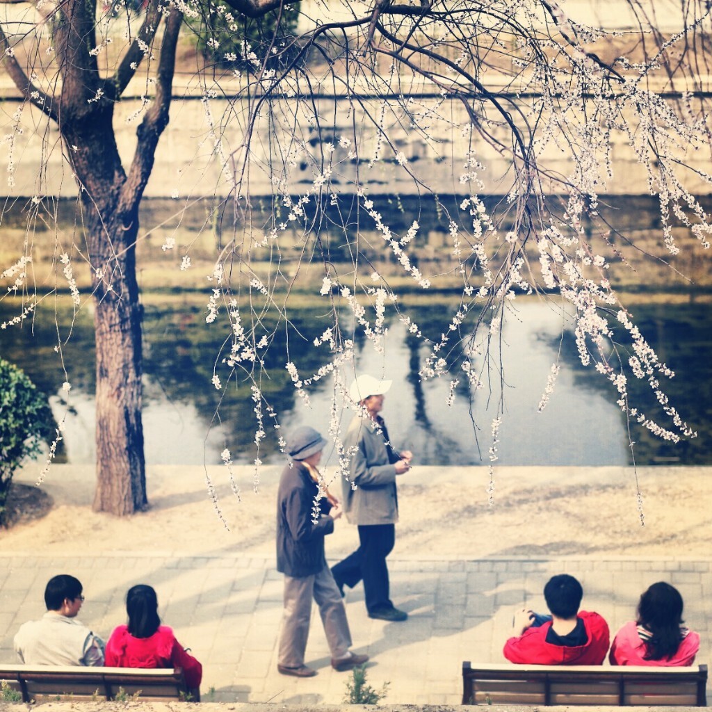 北京元大都，人还是要有个伴儿。