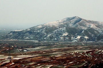 IMG_1782_调整大小.JPG
