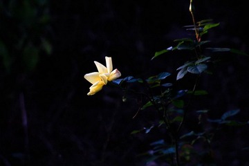 夜 静