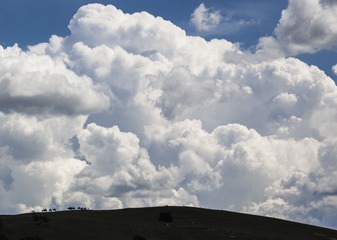 IMG_5762_调整大小