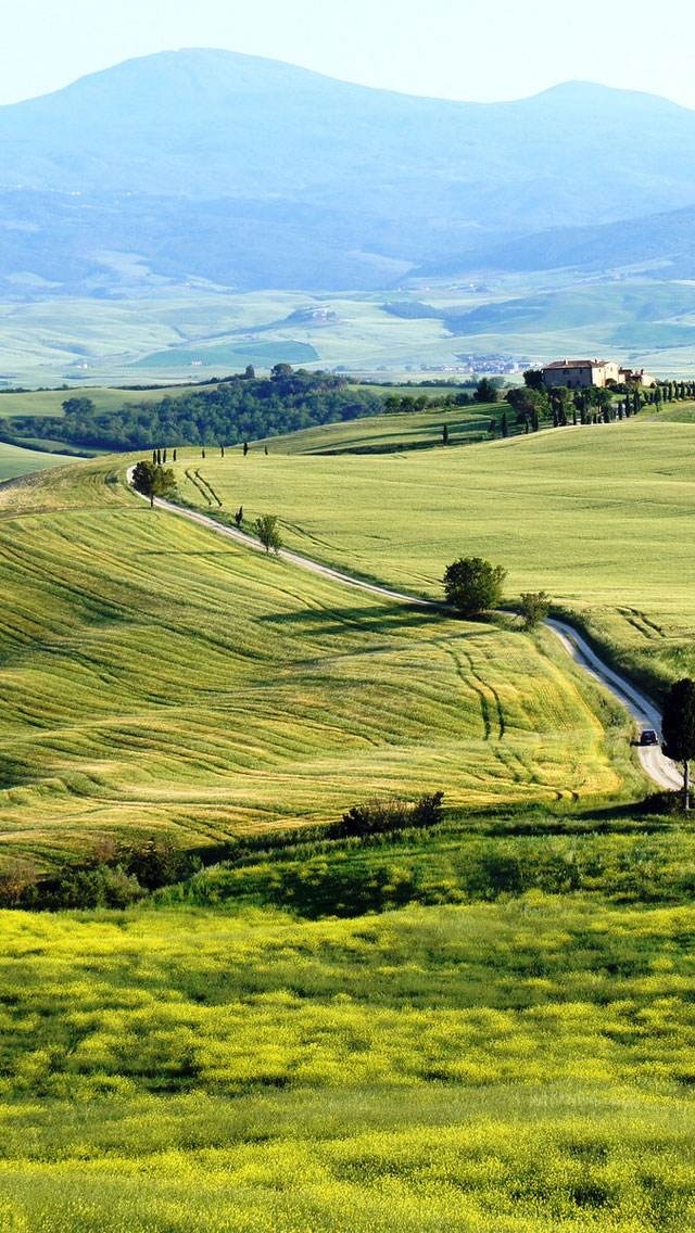 唯美意境大家可以关注我的抖音号20160717hd